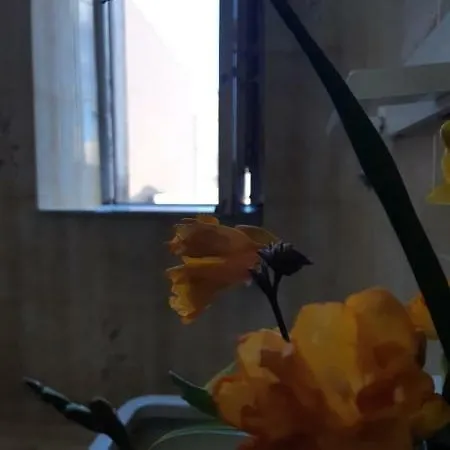 La Casetta Nel Borgo *